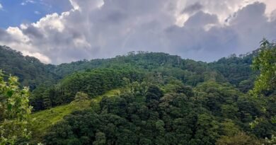 Querétaro avanza en la protección de áreas naturales - RR Noticias