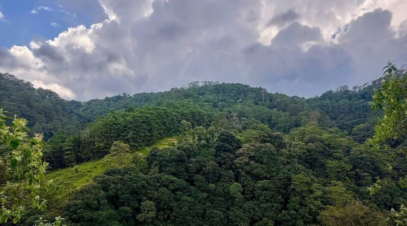Querétaro avanza en la protección de áreas naturales - RR Noticias