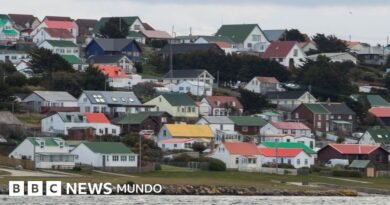 Reino Unido asegura que su apoyo a las Malvinas/Falklands se mantiene 