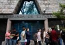 Representantes de los españoles en el extranjero expresan su “firme rechazo” a la paralización del derecho al voto de nacionalizados por la ‘ley de nietos’ 
