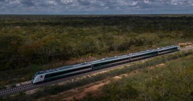 Todas las polémicas que ponen el centro de atención en Amílcar Olán, el empresario cercano a los hijos de López Obrador EL PAÍS