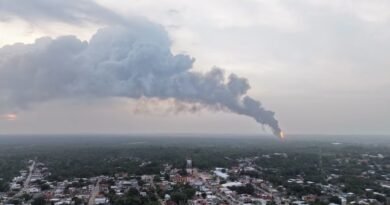 EL PAÍS