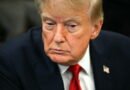 Trump no tolerará los intentos de frenar el desarrollo de la IA