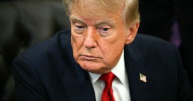 Trump no tolerará los intentos de frenar el desarrollo de la IA