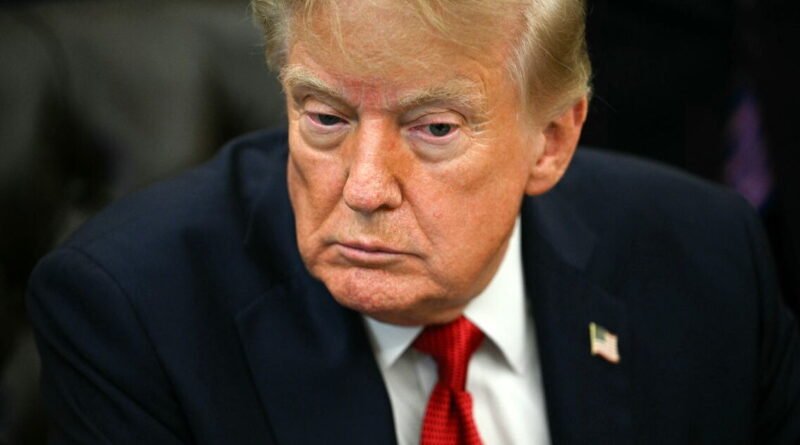 Trump no tolerará los intentos de frenar el desarrollo de la IA