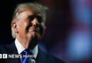 Trump promete darle US$5.000 a cada adulto estadounidense si los republicanos ganan las elecciones de medio término - BBC News Mundo