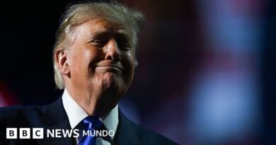 Trump promete darle US$5.000 a cada adulto estadounidense si los republicanos ganan las elecciones de medio término - BBC News Mundo