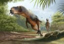 Una pluma atrapada en un excremento de dinosaurio da nuevas pistas sobre la extinción de las aves primitivas 