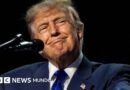 ¿Es legal que Trump prometa entregar US$5.000 a cada estadounidense si los republicanos ganan las elecciones de noviembre? - BBC News Mundo