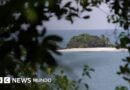 Especial BBC Mundo: Isla Coiba, la brutal prisión a cielo abierto convertida en paraíso natural en Panamá - BBC News Mundo