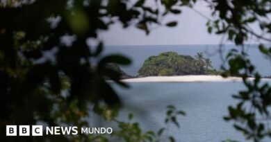 Especial BBC Mundo: Isla Coiba, la brutal prisión a cielo abierto convertida en paraíso natural en Panamá - BBC News Mundo