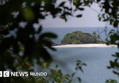 Especial BBC Mundo: Isla Coiba, la brutal prisión a cielo abierto convertida en paraíso natural en Panamá - BBC News Mundo