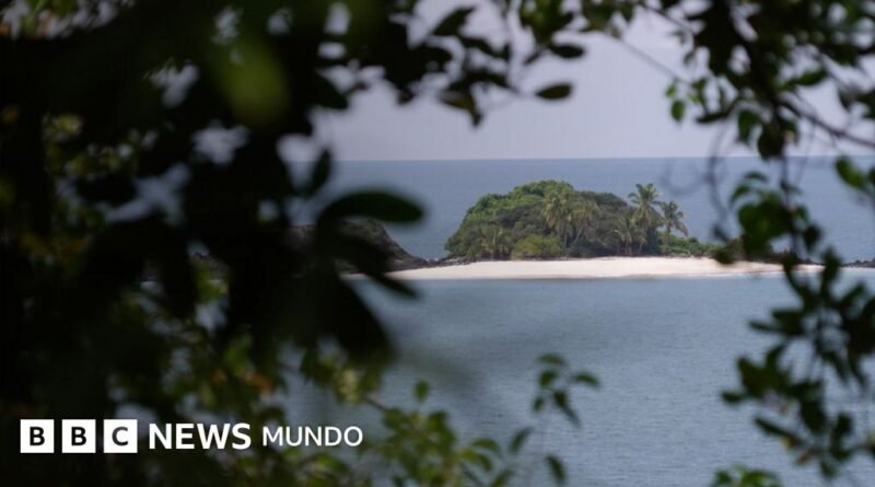 Especial BBC Mundo: Isla Coiba, la brutal prisión a cielo abierto convertida en paraíso natural en Panamá - BBC News Mundo