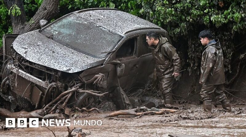 5 maneras en las que el Súper Niño ya está afectando el clima en América Latina y otras partes del mundo - BBC News Mundo