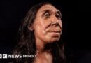 Agujero en el omóplato de un neandertal vinculado a una antigua lanza de madera. - BBC News Mundo