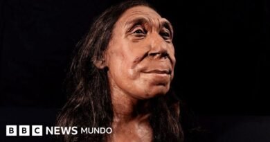 Agujero en el omóplato de un neandertal vinculado a una antigua lanza de madera. - BBC News Mundo