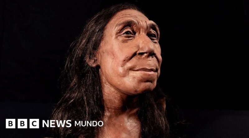 Agujero en el omóplato de un neandertal vinculado a una antigua lanza de madera. - BBC News Mundo
