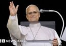 “Ahora reanudaré gradualmente mis actividades”: el Papa hace su primera aparición pública tras ser operado por un cáncer de pulmón - BBC News Mundo
