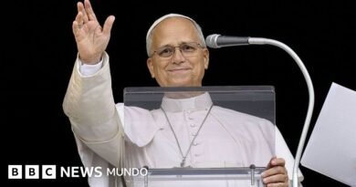 “Ahora reanudaré gradualmente mis actividades”: el Papa hace su primera aparición pública tras ser operado por un cáncer de pulmón - BBC News Mundo