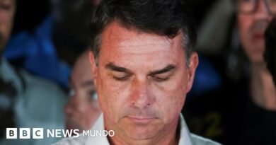 Bolsonaro se presenta como líder de la oposición a Lula sin admitir la derrota y su partido reconoce los resultados - BBC News Mundo