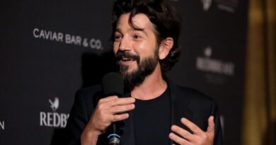 Diego Luna gana el premio a Mejor Guion en el Festival de Cine de Roma por “Ceniza en la boca” - RR Noticias