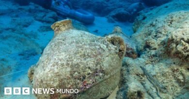 El impresionante hallazgo del naufragio más antiguo del mundo frente a las costas de Turquía  - BBC News Mundo