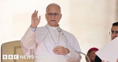 El papa León XIV no necesitará más tratamientos tras la cirugía en la que le extirparon un tumor canceroso - BBC News Mundo
