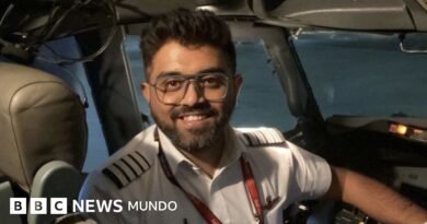 El piloto indio que fue apuñalado en un vuelo con destino a Israel y al que califican de héroe - BBC News Mundo