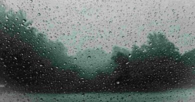 Frente frío y huracán ‘Trudy’ provocarán fuertes lluvias en varios estados del país - RR Noticias