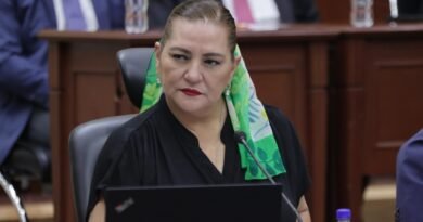 Guadalupe Taddei colaborará con la ASF en investigación sobre licitaciones del INE - RR Noticias