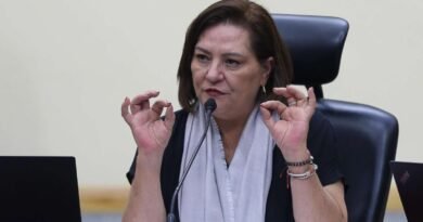 Guadalupe Taddei presentará su renuncia como presidenta del INE - RR Noticias