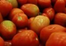 Inflación de septiembre se ubica en 3.45%, jitomate y cebolla presionan el bolsillo - RR Noticias