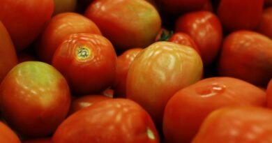 Inflación de septiembre se ubica en 3.45%, jitomate y cebolla presionan el bolsillo - RR Noticias