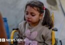 La BBC entra en Gaza: campos infestados de ratas y miles de niños que necesitan ser evacuados de una zona devastada por la guerra - BBC News Mundo