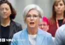 La conmoción en Australia después de que un vehículo arrollara y dejara gravemente herida a una diputada en un presunto ataque deliberado - BBC News Mundo