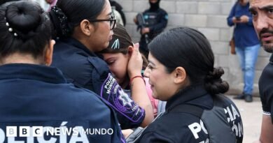 La conmoción por el ataque con machetes y explosivos en una escuela de México en la que murió la subdirectora y por el que acusan a dos hermanos exalumnos - BBC News Mundo