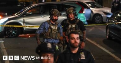La indignación en Nueva York por el caso del dominicano que recibió un disparo de ICE en su auto con su hijo de 5 años en el asiento trasero - BBC News Mundo