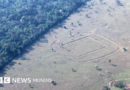 Las monumentales construcciones escondidas en la Amazonía recién descubiertas por científicos - BBC News Mundo