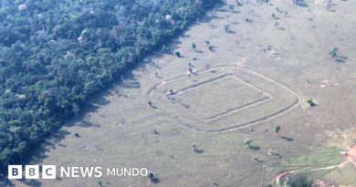 Las monumentales construcciones escondidas en la Amazonía recién descubiertas por científicos - BBC News Mundo