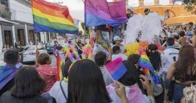Ley de Identidad de Género podría votarse en noviembre - RR Noticias