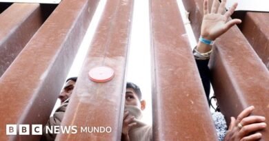 Los gráficos que muestran cómo ha cambiado la migración en EE.UU. en la era Trump - BBC News Mundo