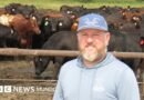 Los rancheros que se cuestionan el apoyo a Trump en Nebraska, gran bastión del presidente - BBC News Mundo