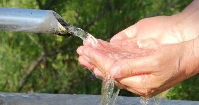 Millones de hogares en México, sin agua potable; Guerrero y Oaxaca, con peor servicio - RR Noticias
