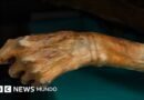 Momias congeladas y rutas vikingas: los secretos que está revelando el derretimiento de los hielos - BBC News Mundo