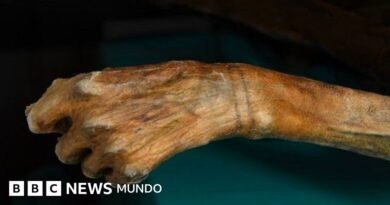 Momias congeladas y rutas vikingas: los secretos que está revelando el derretimiento de los hielos - BBC News Mundo