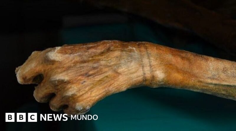 Momias congeladas y rutas vikingas: los secretos que está revelando el derretimiento de los hielos - BBC News Mundo