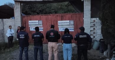 Municipio de Querétaro suspende pensión de perros por irregularidades; asegura a 28 ejemplares - RR Noticias