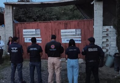 Municipio de Querétaro suspende pensión de perros por irregularidades; asegura a 28 ejemplares - RR Noticias