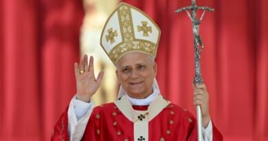 Papa León XIV fue diagnosticado con cáncer de pulmón Papa León XIV fue diagnosticado con cáncer de pulmón