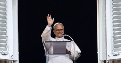Papa León XIV reaparece en la misa dominical tras cirugía pulmonar - RR Noticias